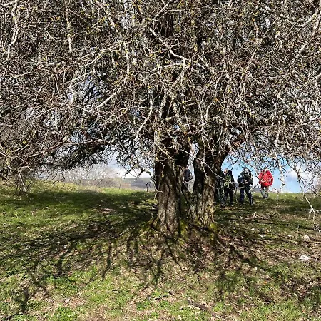 Il Castello Del Sole Sellano
