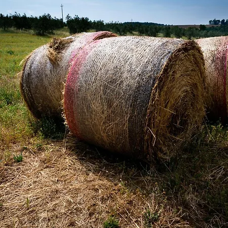 Il Castello Del Sole *