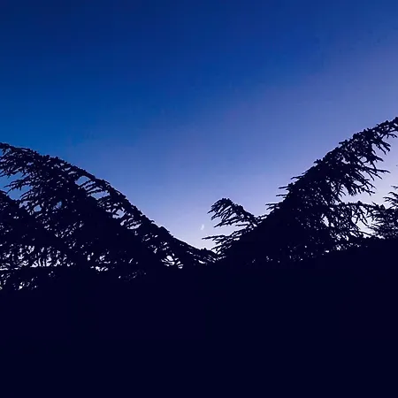 Il Castello Del Sole Gospodarstwo agroturystyczne *